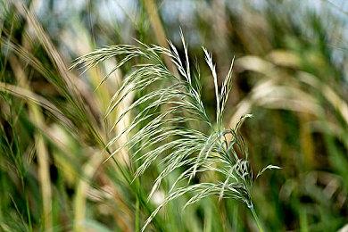 《英雄不再3》获IGN日本9分好评 系列最棒完成度