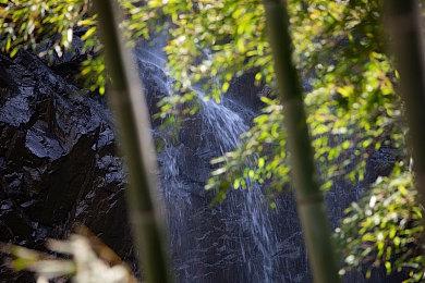 《吸血鬼幸存者》1.0版本正式推出 大量全新内容