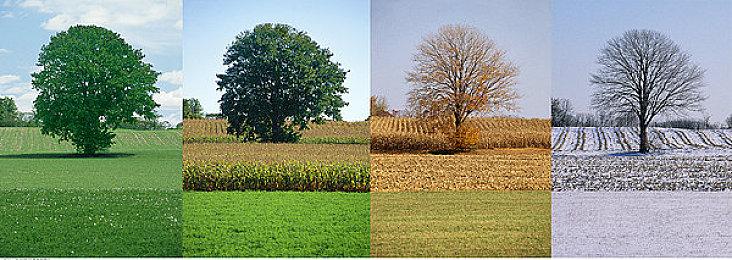 玩家苦等的《收获日3》首个补丁终于在全平台发布